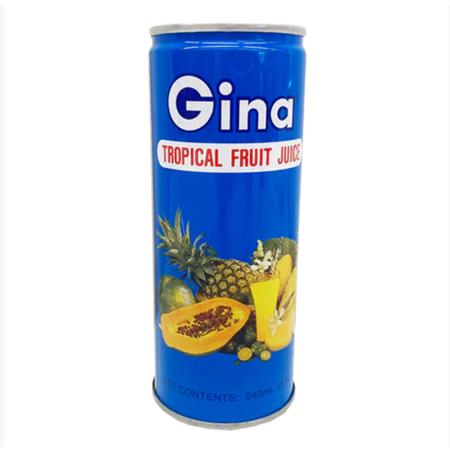 Gina Tropical Fruit Juice 240ml