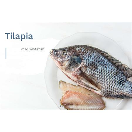 Tilapia PER KG